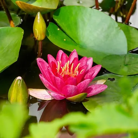 Kro Hotel Menstrup Kro Menstrup