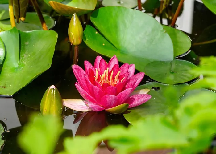 Estalagem Hotel Menstrup Kro Menstrup