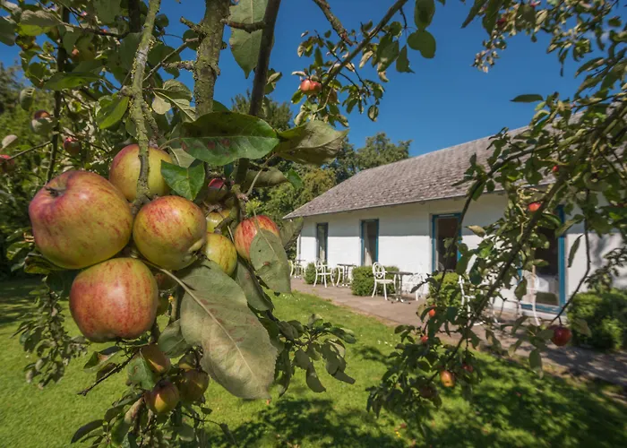 Hotel Menstrup Kro Penzion